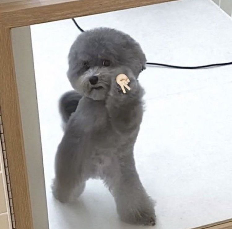 松岡しほ