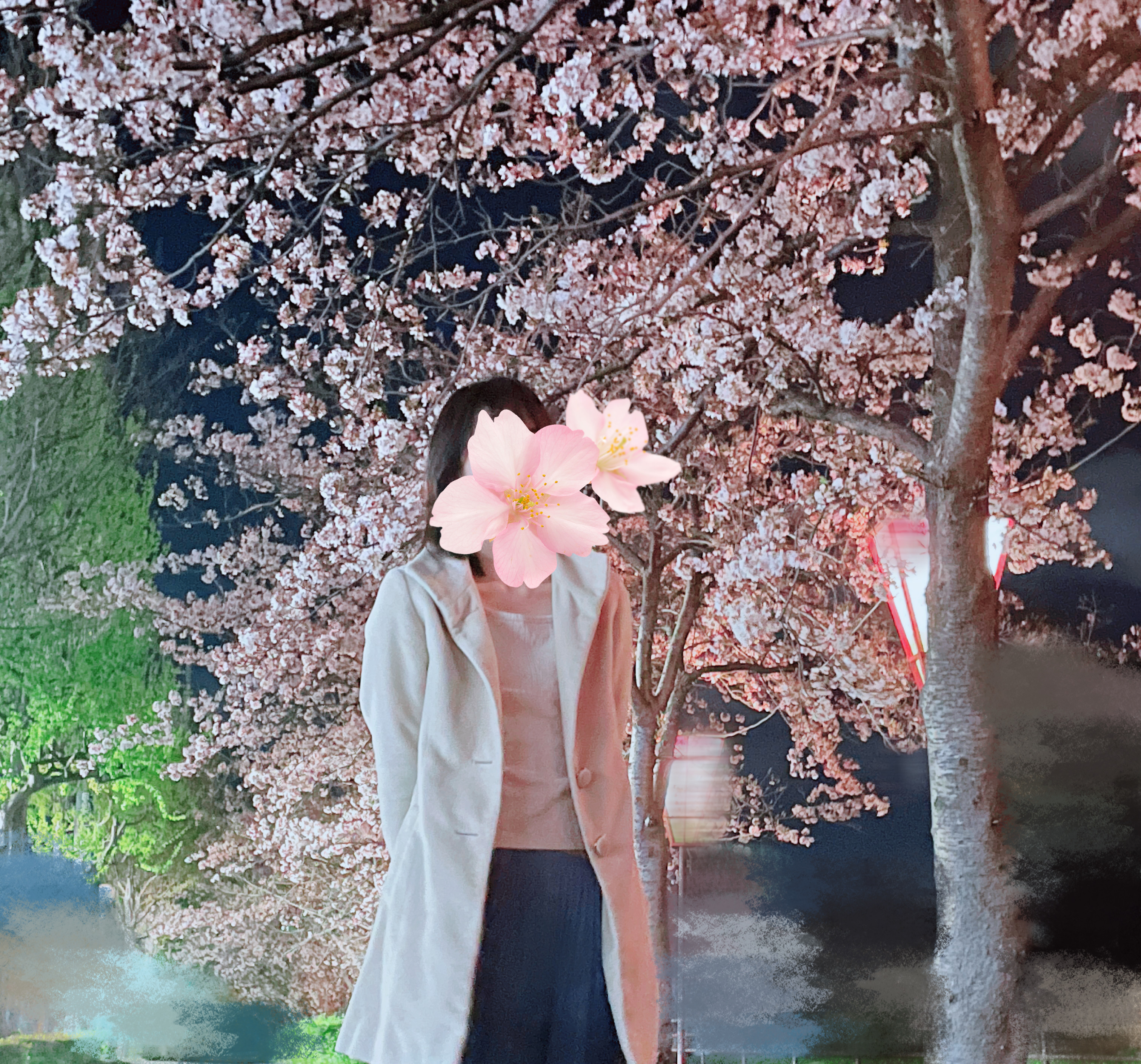 朱美れい