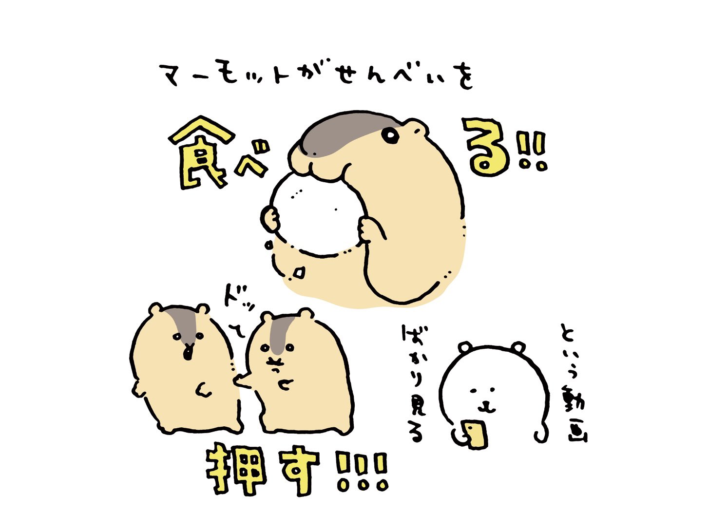 松岡しほ